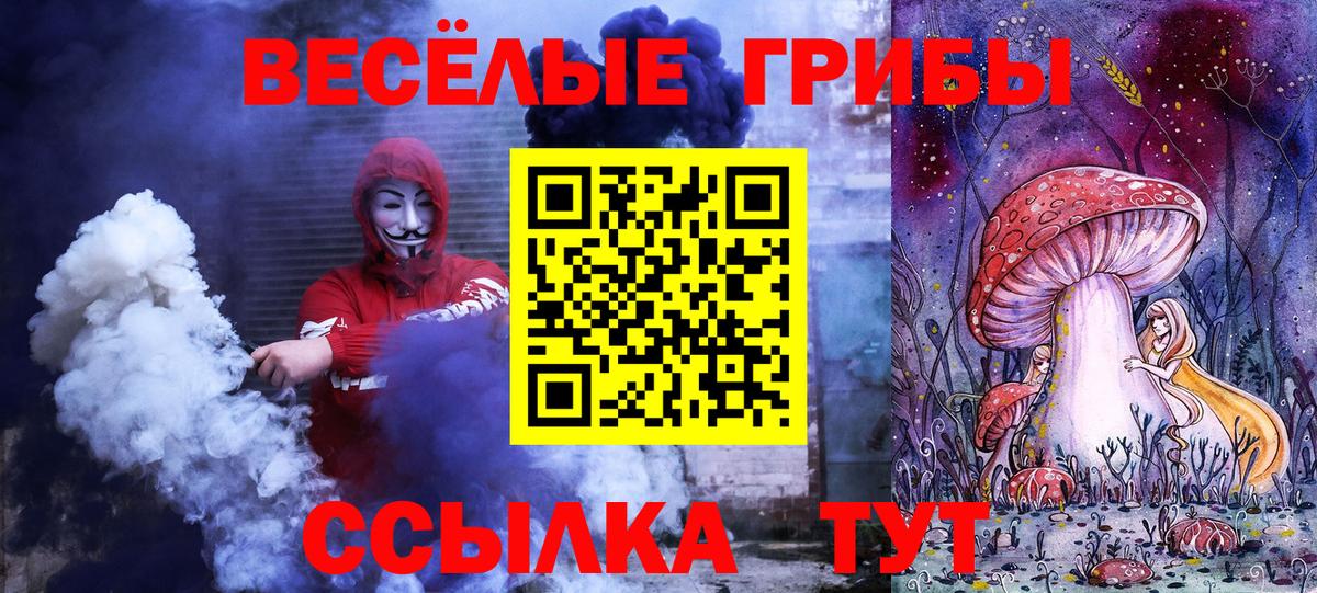Галлюциногенные грибы Psilocybe  Вход с VPN  Ковров  Галлюциногенные грибы ЛСД 