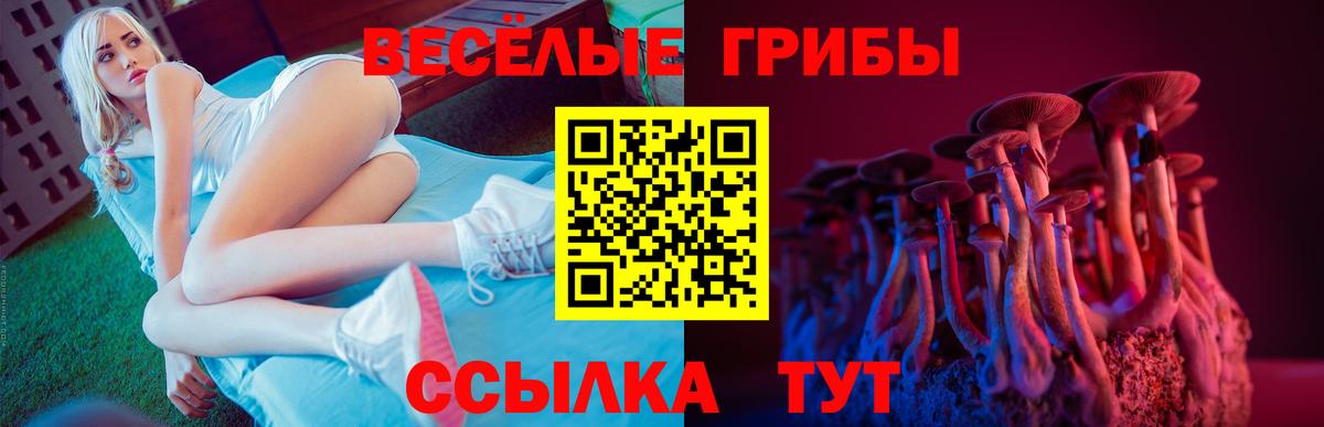 Псилоцибиновые грибы Psilocybe Ковров